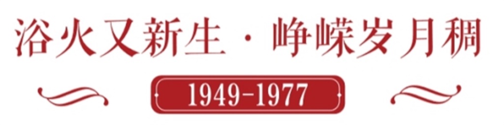 图片11.jpg